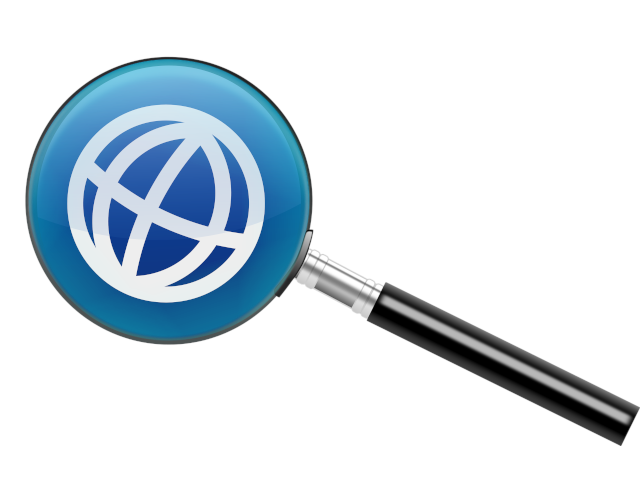 zoom sito web