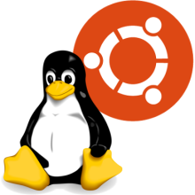 Ubuntu Linux Installation Party al II Festival Olistico della Città della Luce